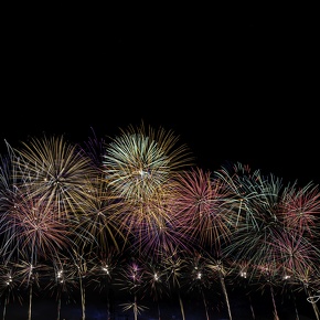 Nuits de sologne 2025